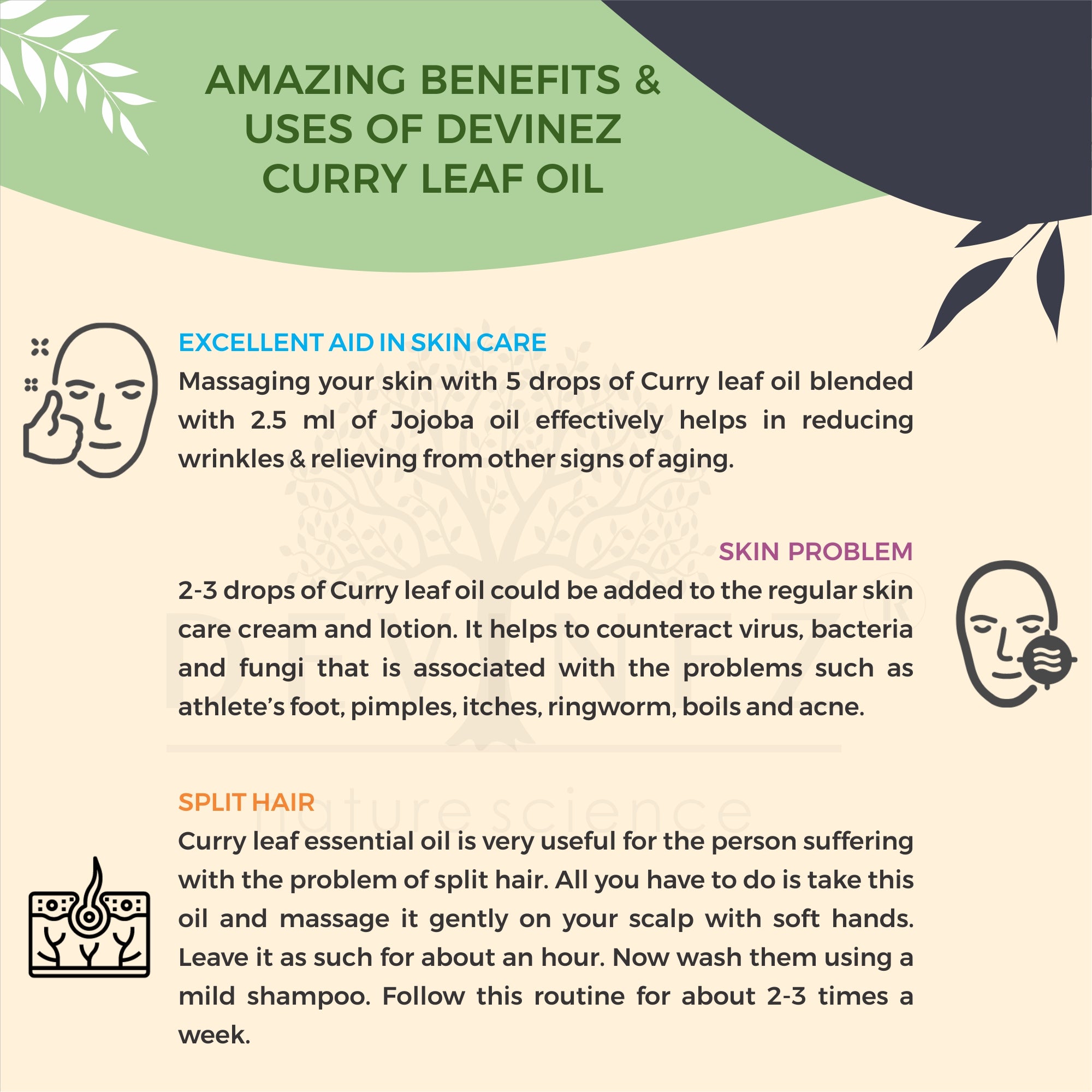 Health Benefits of Curry Leaves: 5 Proven Benefits of Eating Curry Leaves |  India.com